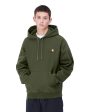 Carhartt Wip Hooded American Script Sweat Tarragon Supply